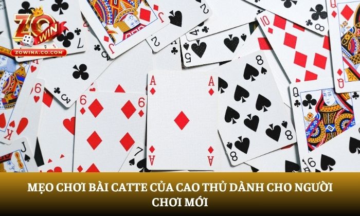 bài catte online
