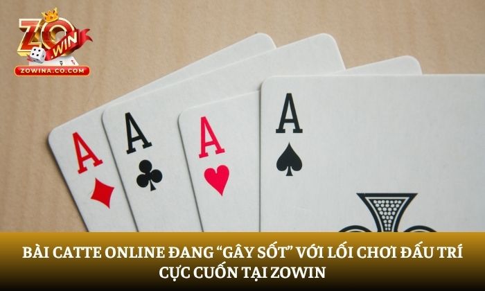catte online