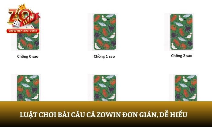 bài câu cá