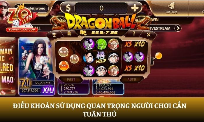 Điều khoản sử dụng